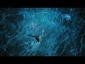 Planet Ocean - Doc -  Yann Arthus-Bertrand, Michael Pitiot - 2012