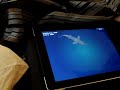 Maximus the Bengal kitten playing iPad Cat Fishing game