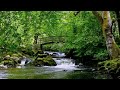 Relax 8 Hours-Relaxing Nature Sounds-Study-Sleep-Meditation-Water Sounds-Bird Song