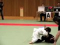 Tensai Jiu-Jitsu/Checkmat Japan - Tavico Thumbnail