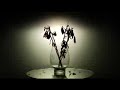 Timbaland - Apologize (feat. One Republic)