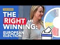 Will the Right Win the European Parliamentary Election?  - TLDR News EU 2023