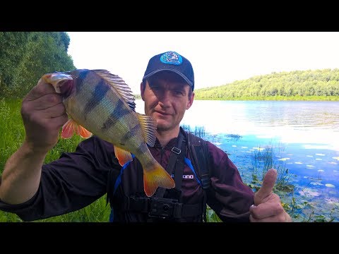 ловля джигом с берега видео уроки ловля джигом с берега видео уроки