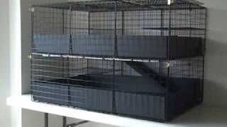 huge guinea pig cage