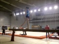 miniature
