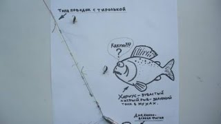 Как вязать поводок с двумя крючками Как вязать поводок с двумя крючками