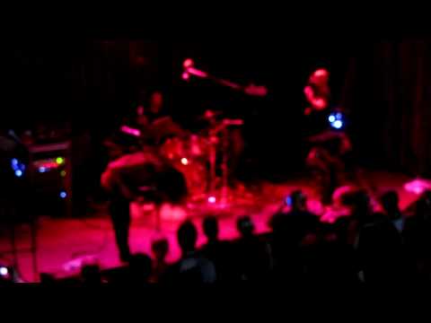 cynic evolutionary sleeper cynic evolutionary sleeper