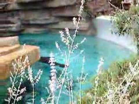 Riverbanks zoo coupon code