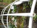 How to Make a Hoop House or Green House for Cheap.