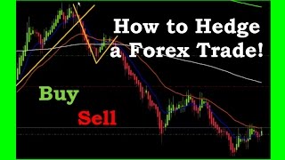 Joe nemeth forex