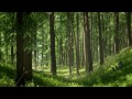 Dan Atherton MTB Enduro Racing - Four by Three