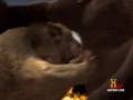 Jurassic Fight Club: Ice Age Monsters *HD* Part 1/2
