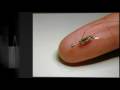 Nanobots