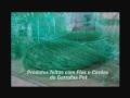 Assistir Oficina Ecocidadania