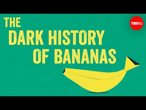 TED-Ed. The dark history of bananas (Tamsioji bananų istorijos pusė)