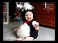 Funny Animal Baby Costumes Halloween 2010 ADORABLE! (Cute Babies)
