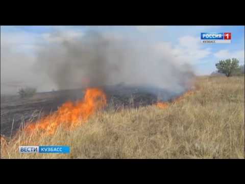 В Кузбассе зафиксированы первые возгорания сухой травы