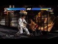 Raven/Lei, Wang/Lei Combo & Tag Assault Demo Tekken Tag 2