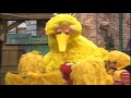 Big Bird and Elmo - She'll Be Comin' 'Round The Mountain