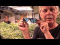 The Weed Nerd Presents Hunters of the Dank Part 9 by TCurtiss