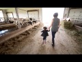 Dairy Farm Families