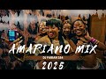 SOUTH AFRICA AMAPIANO MIX 2025  AMAPIANO MIX 2025 ( ZENZELE, BIRI MARUNG, JEALOUSY -  DJ FABIAN 254