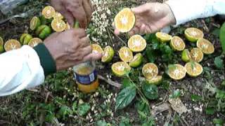 El Jugo de Mandarina para Bajar de Peso.