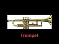 Sounds of Musicial Instruments