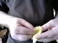 Origami Daffodil