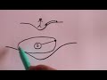 Einstein Field Equations - for beginners!