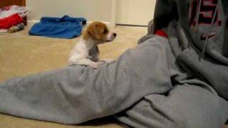 De pequeno é que se aprende