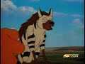 Simba The King Lion. Ep.19. The Old Lion's Territory