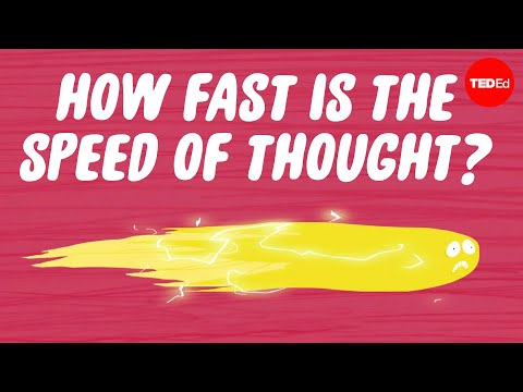 TED-Ed. How fast is the speed of thought? (Kokiu greičiu juda mintis?)