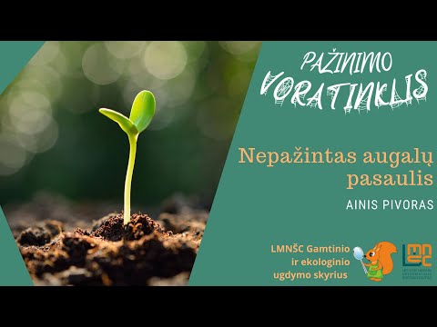 LMNŠC nuotolinių gamtos pamokų ciklas „Pažinimo voratinklis“. Nepažintas augalų pasaulis