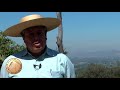 SELLO DE RAZA CABALLOS CHILENOS Criadero la espuelita I.mp4