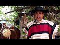 SELLO DE RAZA CABALLOS CHILENOS Criadero la espuelita I.mp4