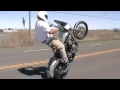harley wheelies 10