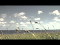 Video: Mizuno Wave Inspire 8 2012