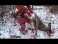 DEER HUNTING 2013. The Hunt Begins! Good Times, Great Memories and Deer hanging. GRAPHIC WARNING