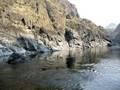 Dans rows Blue aba dee -