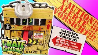 Crate Creatures Surprise Unboxing