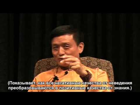 состав ринпоче намкай 29 ноября удаление препятствий достоверные мнения