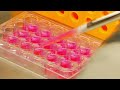 Health Alert! Secrets of the Processed Food Industry