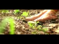 Director/Cinematographer: Brad Gillespie 2011 Show Reel