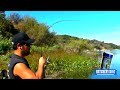 PROOF New Fishing Bait Should Be Illegal To Use. Lip RipperZ Hatchery Dust - Trout Fishing