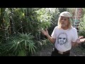 Jorge Cervantes: Nomaad's Garden 2011 (Part 1)