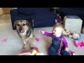 Hysterical bubbles! (original) - laughing baby