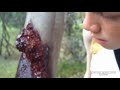ZOMBIE SURVIVAL (CHOOSE YOUR OWN ADVENTURE)