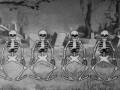 Silly Symphony - The Skeleton Dance - 1929