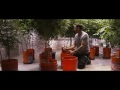 Grow Weed - Medical Marijuana Classes